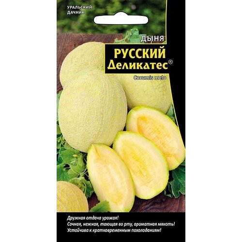 ���� ������ ���� ������� ��������� 10�� ��������� ������ ������ ������