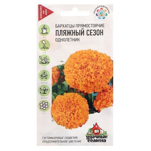 ���� ������ �������� ������ (�������) 