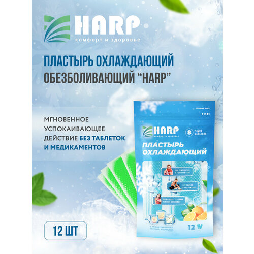 ���� ����������� �������� 