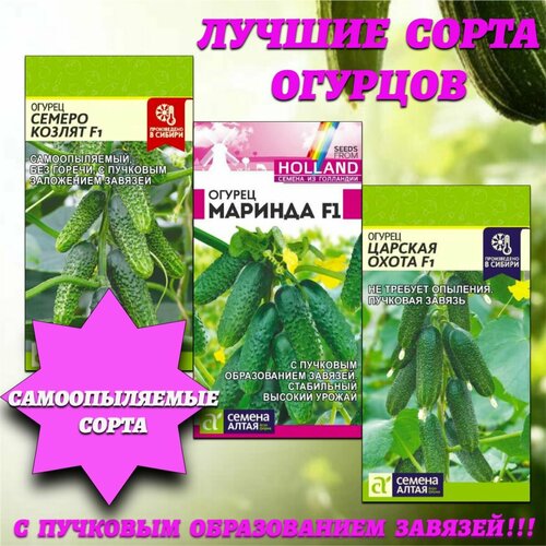 ���� ������ ����� ������������� �������� �������. ������ ����� ������ ������