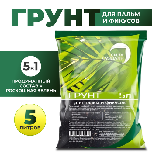 ���� ����� ���� ������� ��� ����� � �������, 5 �, 2.6 �� ������ ������