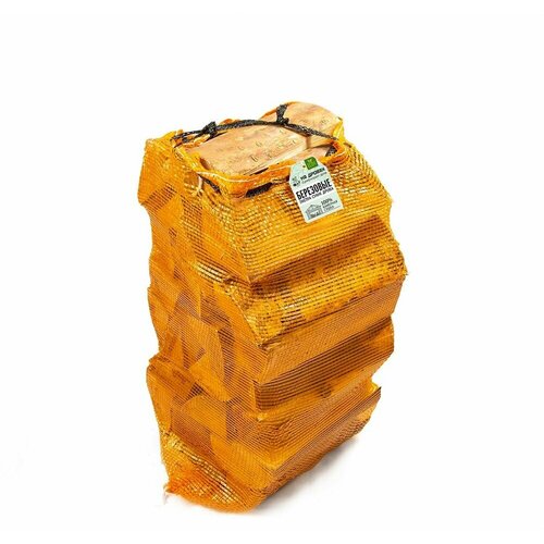 ���� ����� ������ ��������� 14 �� ������ ������