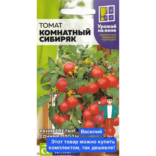 ���� ������ ������ ������ ����� 