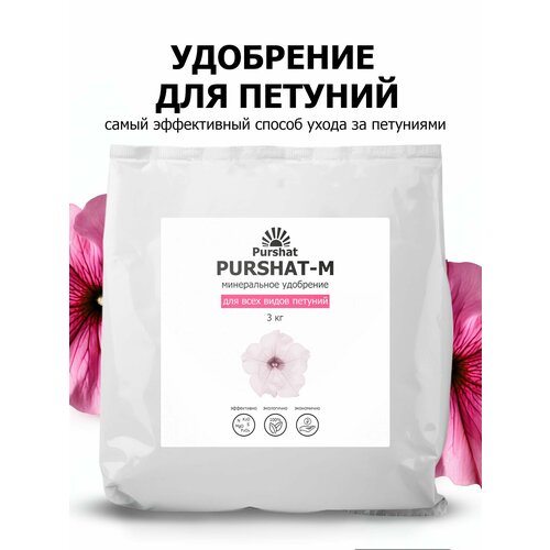 ���� ��������� ��� ������� � ��������� ������ ������ 3 �� ������ ������