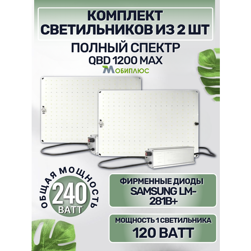���� �������� ������������ ��� �������� QBD 1200 MAX 120��, � ������� Samsung LM281b+(2 ��) ������ ������
