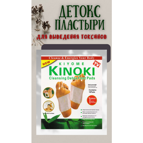 ���� �������� ��� ���� � ������� AnigiN - 10 ���� ������ ������