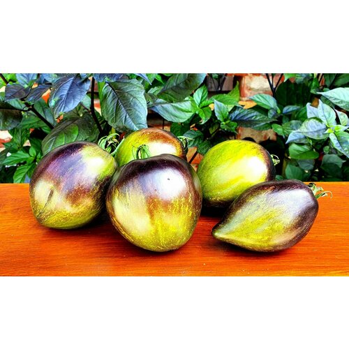 ���� ������ ������ �������� �������� ����������� ��16 (Rebel Starfighter Prime VT16) / Seeds And Goods / � �������� zip-lock ��� ���������� 10 ����� ������ ������