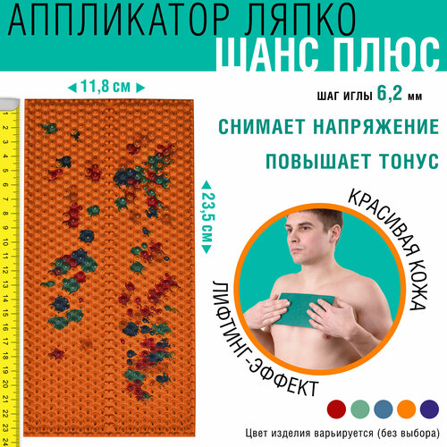 ���� ������ ����� ���� ���� (23.5x11.8 ��), ��� ��� 6.2 ��, ����: � ������������ ������ ������