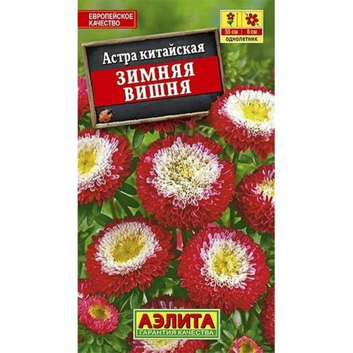 ���� ������ ����� ������ ����� ���������, ����������, (������) 0,2� ������ ������