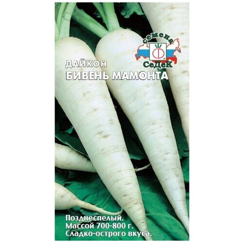 ���� ������ ������, ������ �������, 1 �, ������� ��������, ����� ������ ������