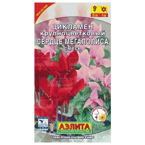 ���� ������. �������� ���������� 