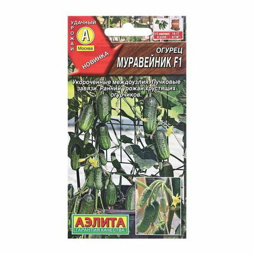 ���� ������ ������ ���������� F1 ���� �/� 10�� ������ ������