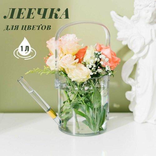 ���� ����� ��� ������ 1 ���� ������ ������