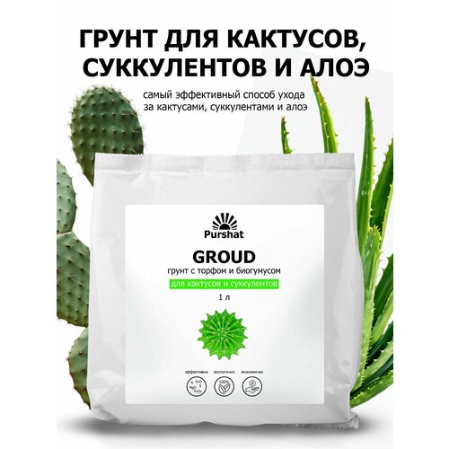 ���� ����� (�����) ��� �������� � ����������� ������. ���������� � ������ � ���������� ��� ��������� (Purshat) 1 � ������ ������