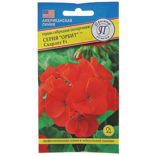 ���� ������� ������ ������ ��������� ������ ������ ��������� 