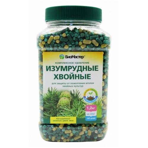 ���� ����������� ����������� ��������� 