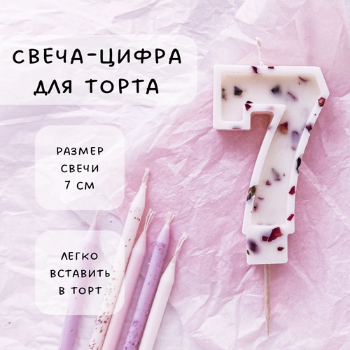 ���� ����� ��� ����� ����� 7, ������ ������, 1�� ������ ������