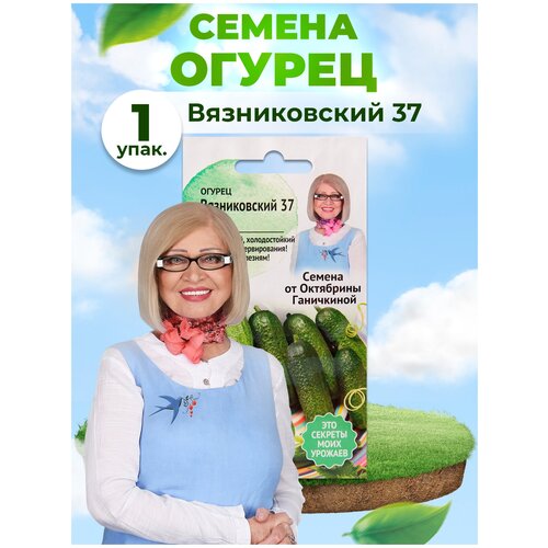 ���� ������ ������������ 37 0,5 �� / ������ ������� ��� ������� / ������ ��� ������� ���� ���� / ������ ������ ������