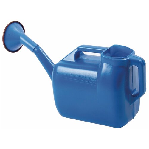 ���� ����� ������, � �������������, 6,5 � ������ ������