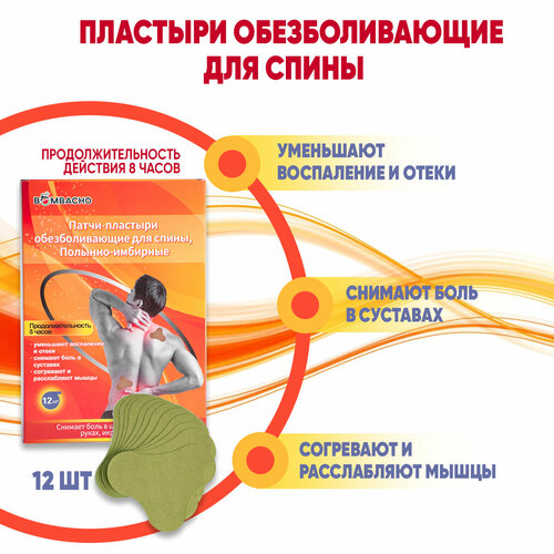 ���� �������� Bombacho ��� �������� � ����� �������������� ����������� 12 �� ������ ������