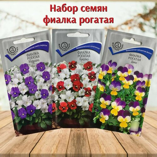 ���� ����� ������ ������ ��� ���� � ���� ������ ������� 3 �������� ������ ������