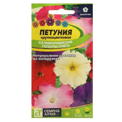 ���� ������ ������ ������� 