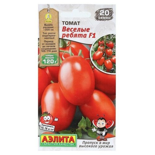 ���� ������. ����� 