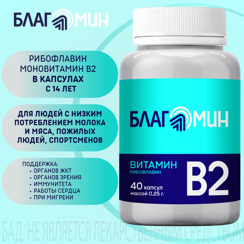 ���� �������� ������� �2 (���������� 2 ��) ������� ������ 0,25� �40 ������ ������