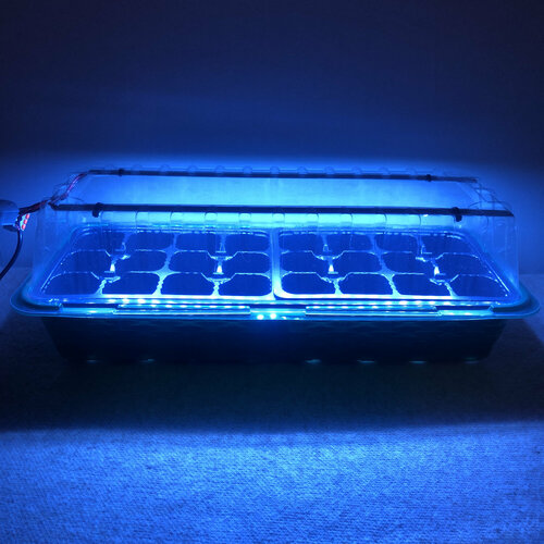 ���� ������ ��� ������ � ������� � ���������� �������� �� �� 24 ������ ������ ������