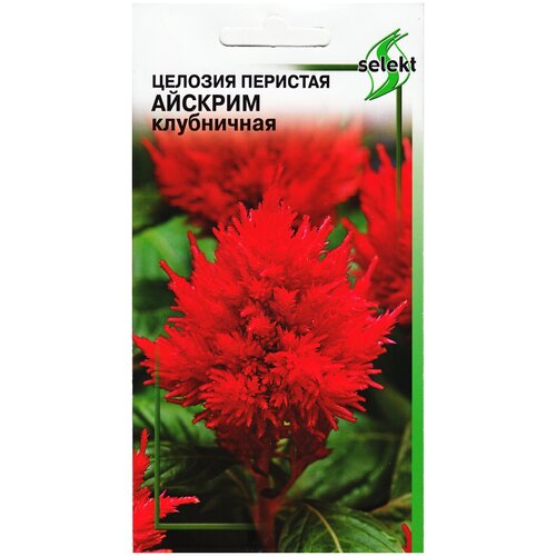 ���� ������� �������� ������� ����������, 10 ����� ������ ������