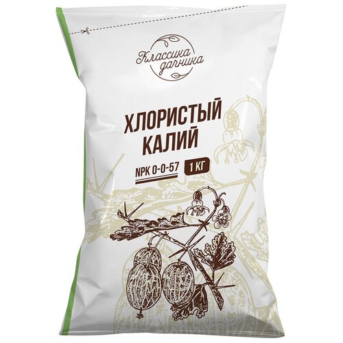 ���� ����� ��������� (����� ������) 1�� ��������� ��� �������� ������ ������