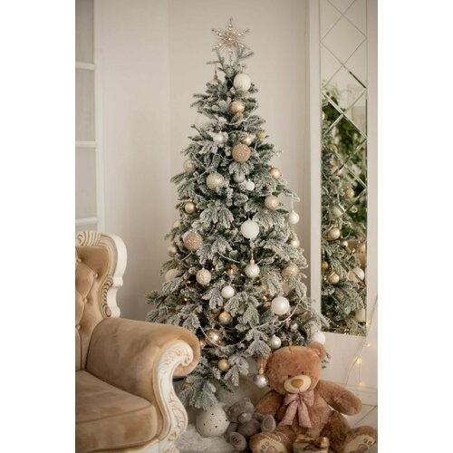 ���� ������������� ���� �����������, �����+���, 150�� ������ ������