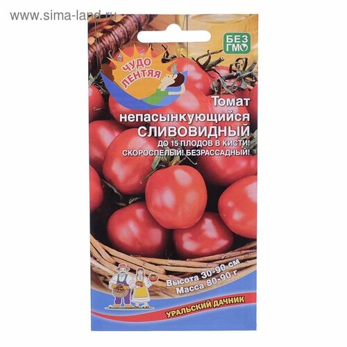 ���� ������ ����� ��������������� ����������� 20�� ��� ������ (����time) ������ ������