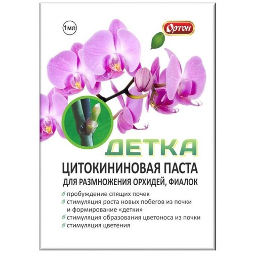 ���� ������������� ����� �����, 1 �� ������ ������