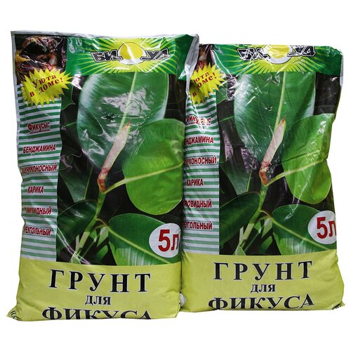 ���� ����� ���� ��� ������� 5 �, �������� 2 ����� ������ ������