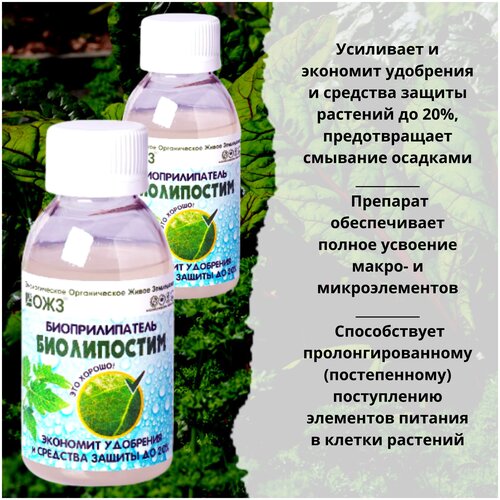 ���� �������������� 