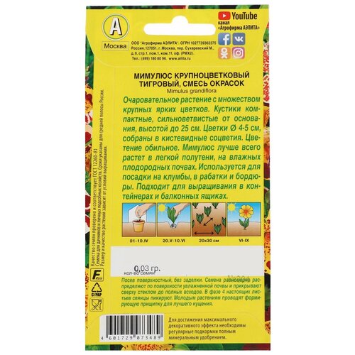 ���� ������ ������ ������� 