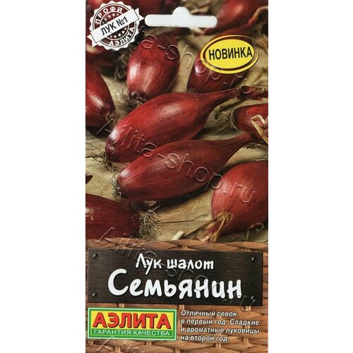 ���� ������ ��� 