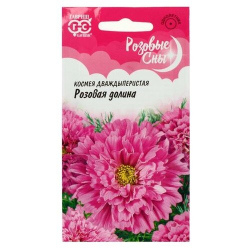 ���� ������. ������ �������� 