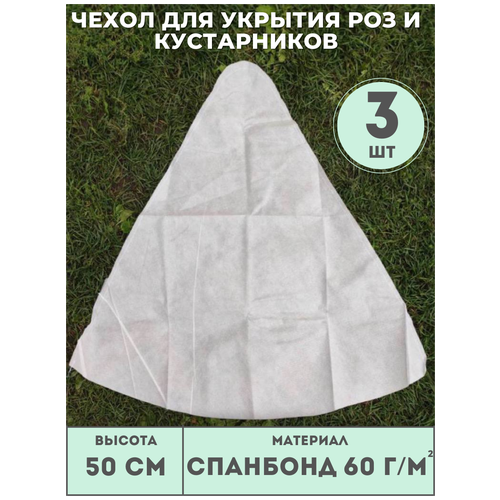 ���� ������ ����� (������ 50��) ��� ��� � ����������� (3 ��./����.) �� ��������� 60 �/�2, ��� ������� ������ ������