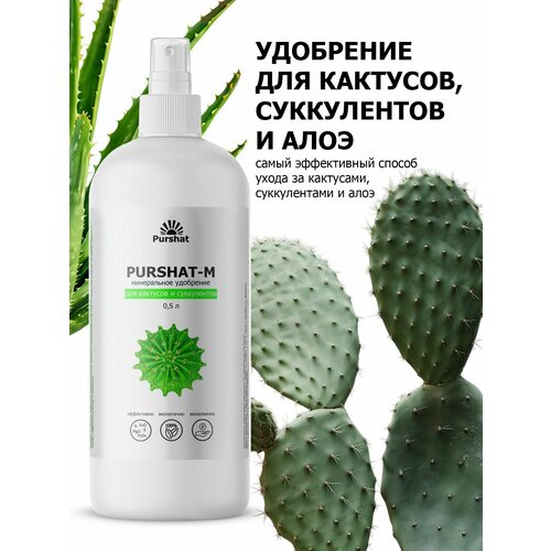 ���� ������-� ����� ��� �������� � ����������� 0,5 � ������ ������