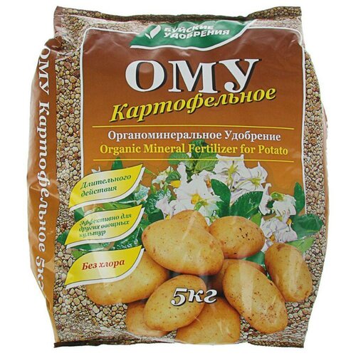 ���� ��� ������������ ������ ������