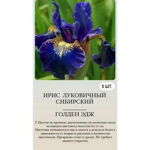 ���� ���� ���������� �������� ����������� �������� ������ ������