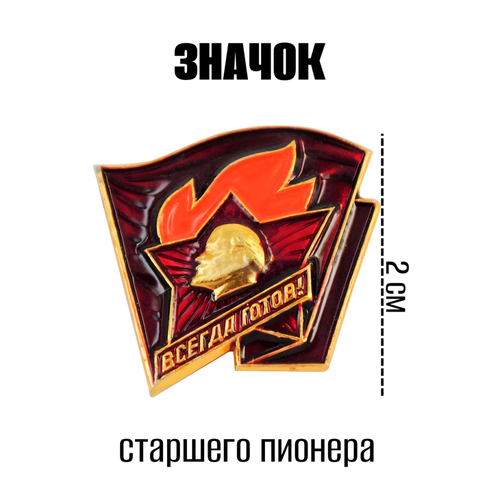 ���� ������� ������ �������� ������� 