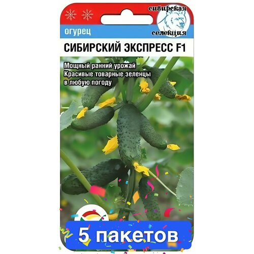 ���� ������ ������ ��������� ��� 