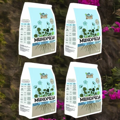 ���� �������� ������� ����� 1�� / 4��. ������ �������� ������ ������