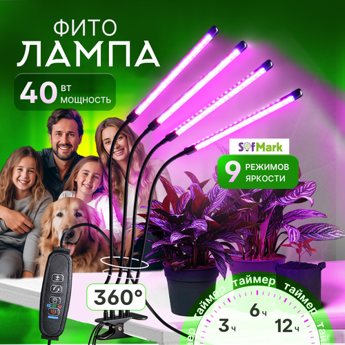 ���� ��������� ��� �������� � ������� �� ��������, � �������� ������ ������