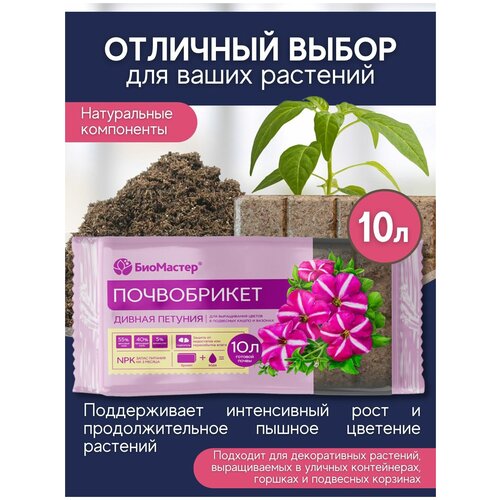 ���� ����������� ��� ������������� ������ ��������� ��������� (�������� ���������). ������ �������. ���������, 10 � ������ ������