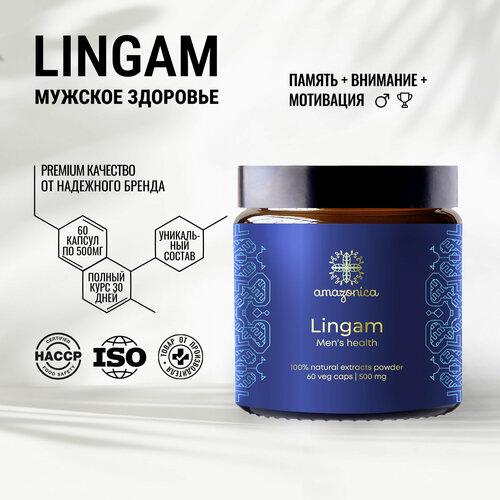    Lingam 60  500 Amazonica.    ,   , .  .  . .  