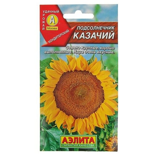 ���� ������ ������������ 